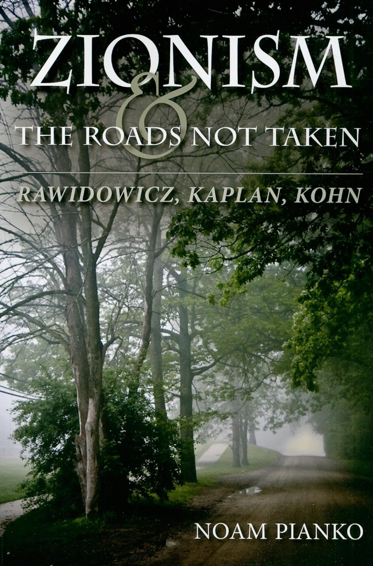 Zionism and the Roads Not Taken: Rawidowicz, Kaplan, Kohn (The Modern Jewish Experience),Used