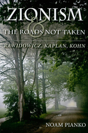 Zionism and the Roads Not Taken: Rawidowicz, Kaplan, Kohn (The Modern Jewish Experience),Used