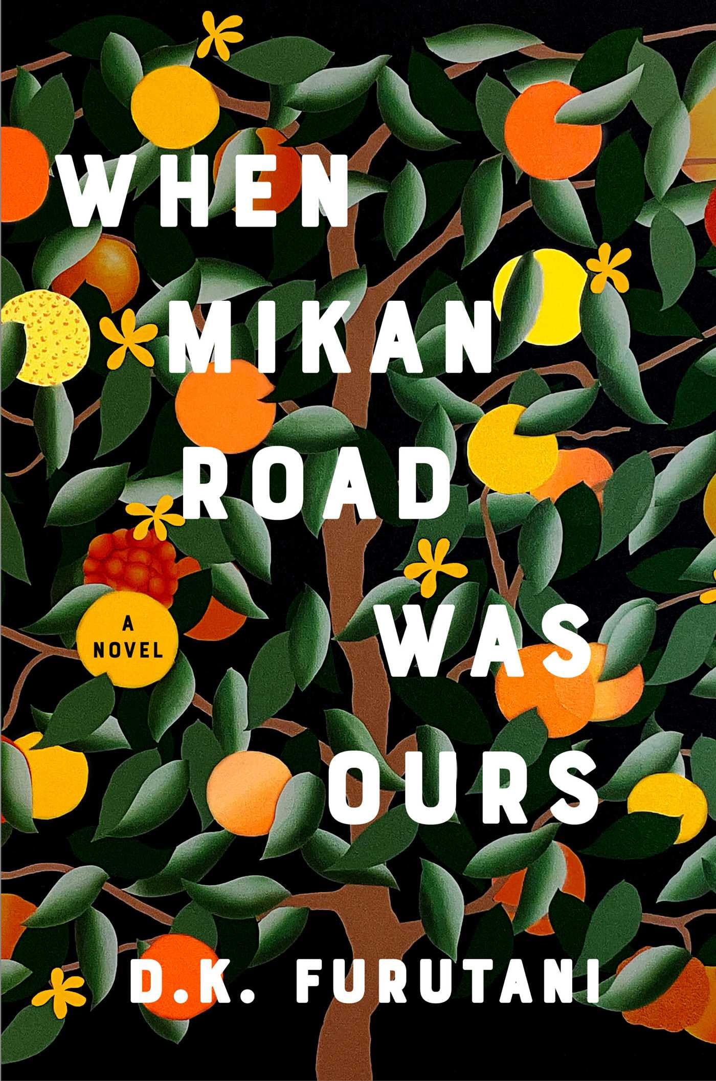 When Mikan Road Was Ours: A Novel