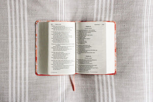 NIV, Giant Print Compact Bible for Girls, Leathersoft, Coral, Red Letter, Comfort Print,Used