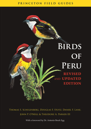 Birds of Peru: Revised and Updated Edition (Princeton Field Guides),New
