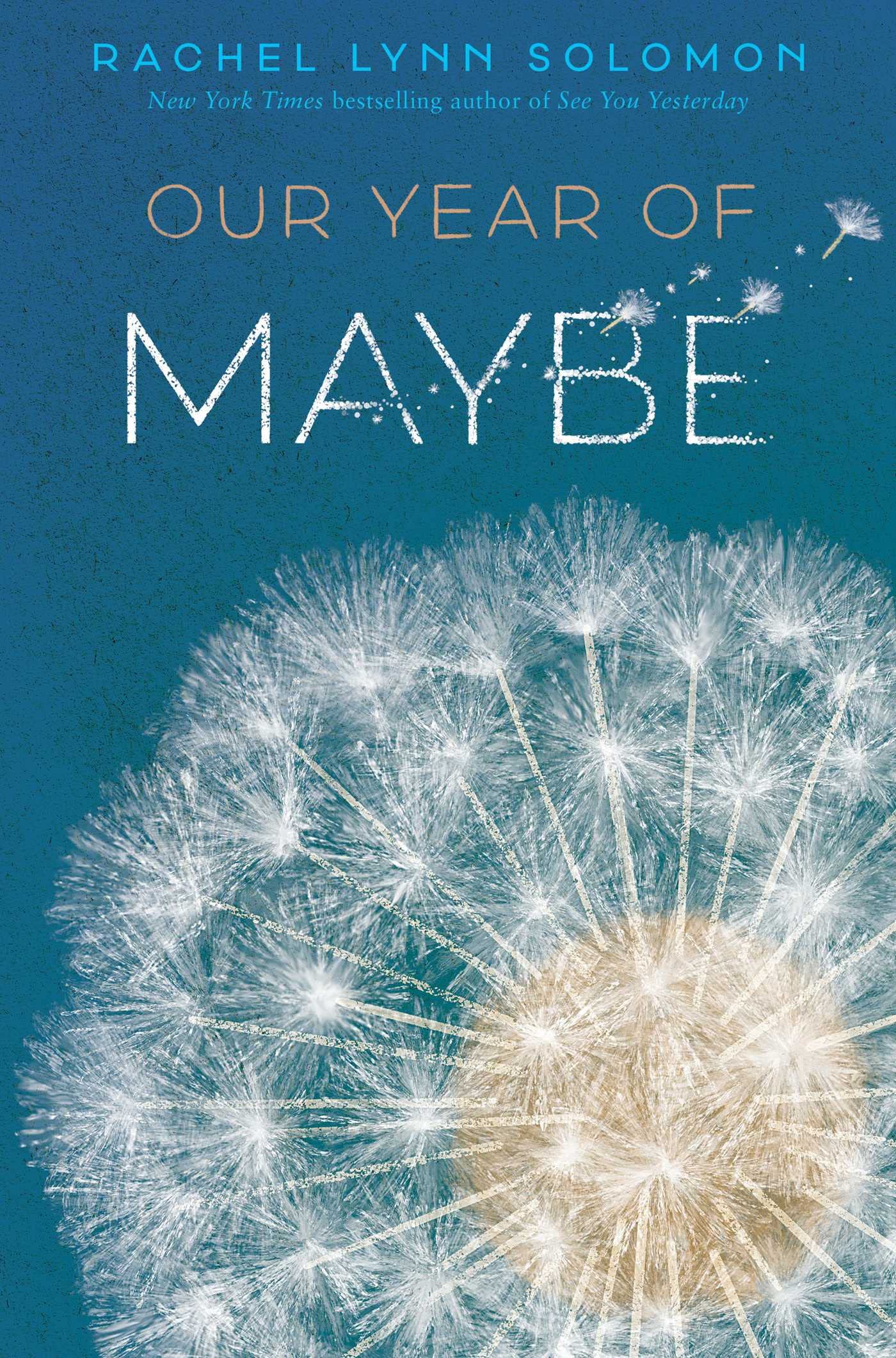 Our Year of Maybe,Used