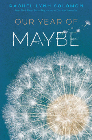 Our Year of Maybe,Used