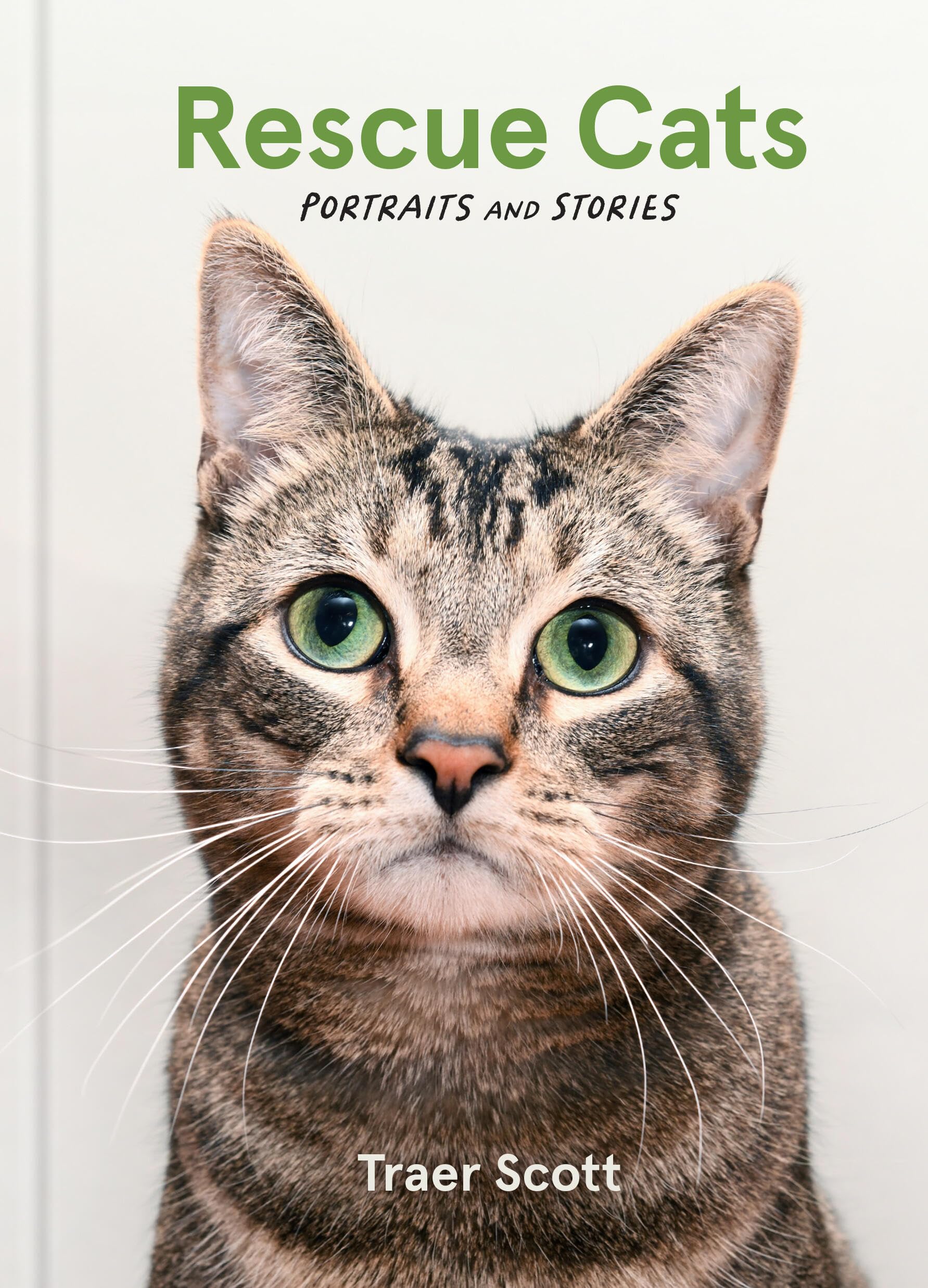 Rescue Cats: Portraits and Stories,New