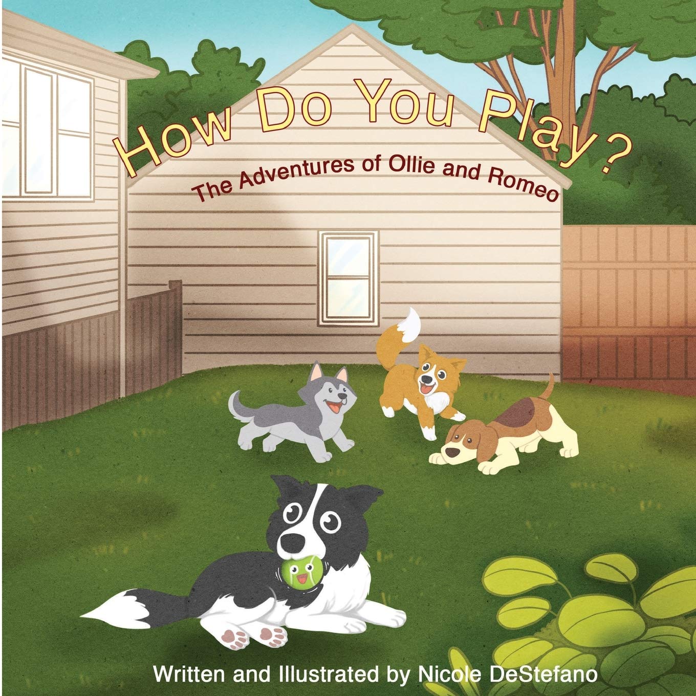 How Do You Play?: The Adventures of Ollie and Romeo,Used