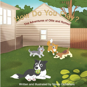 How Do You Play?: The Adventures of Ollie and Romeo,Used
