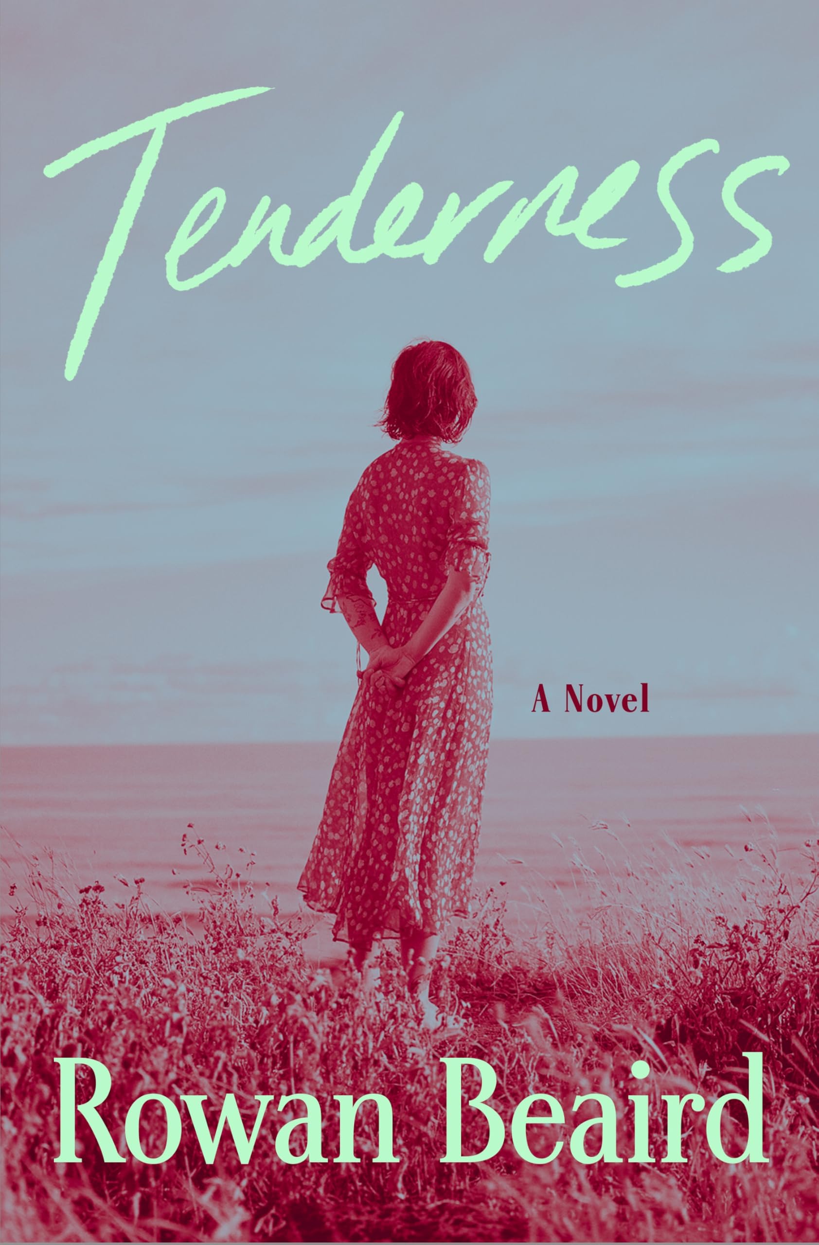Tenderness: A Novel