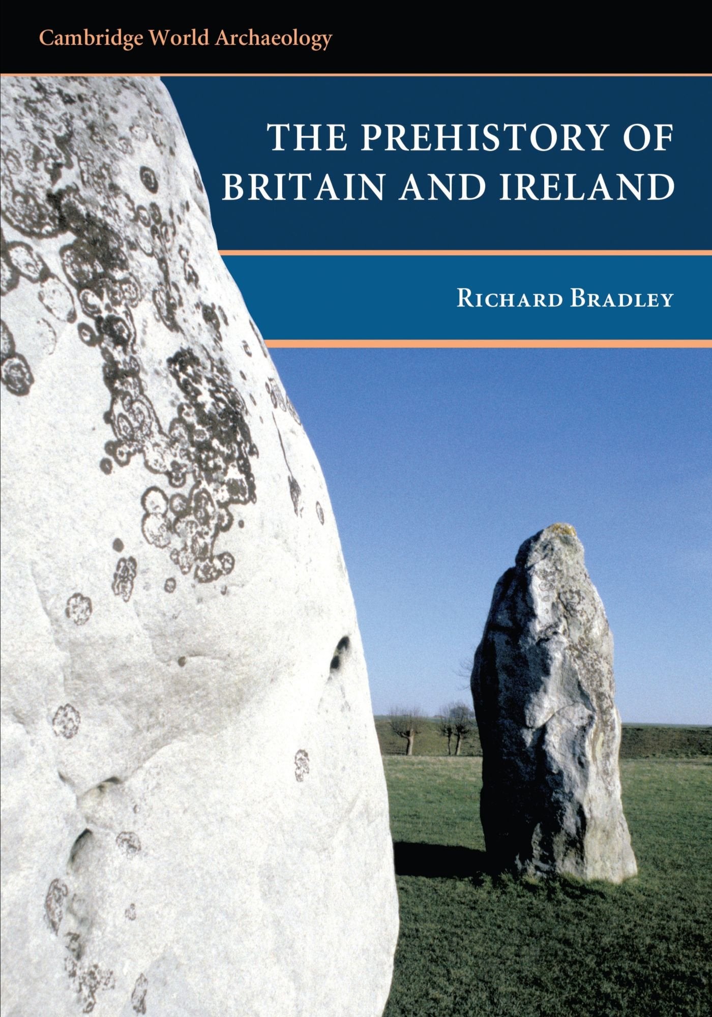 The Prehistory of Britain and Ireland (Cambridge World Archaeology),New