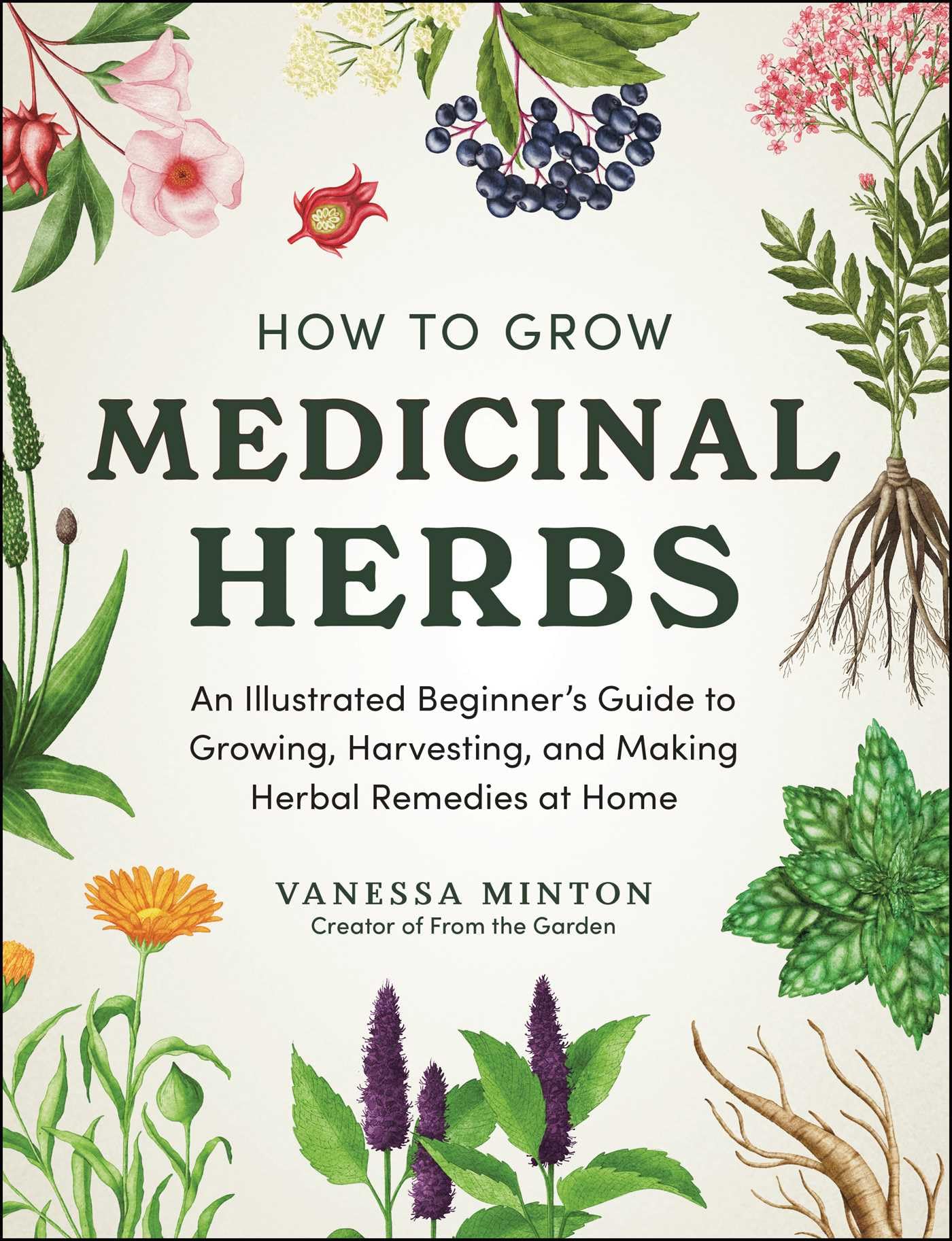 How To Grow Medicinal Herbs: An Illustrated BeginnerS Guide To Growing, Harvesting, And Making Herbal Remedies At Home