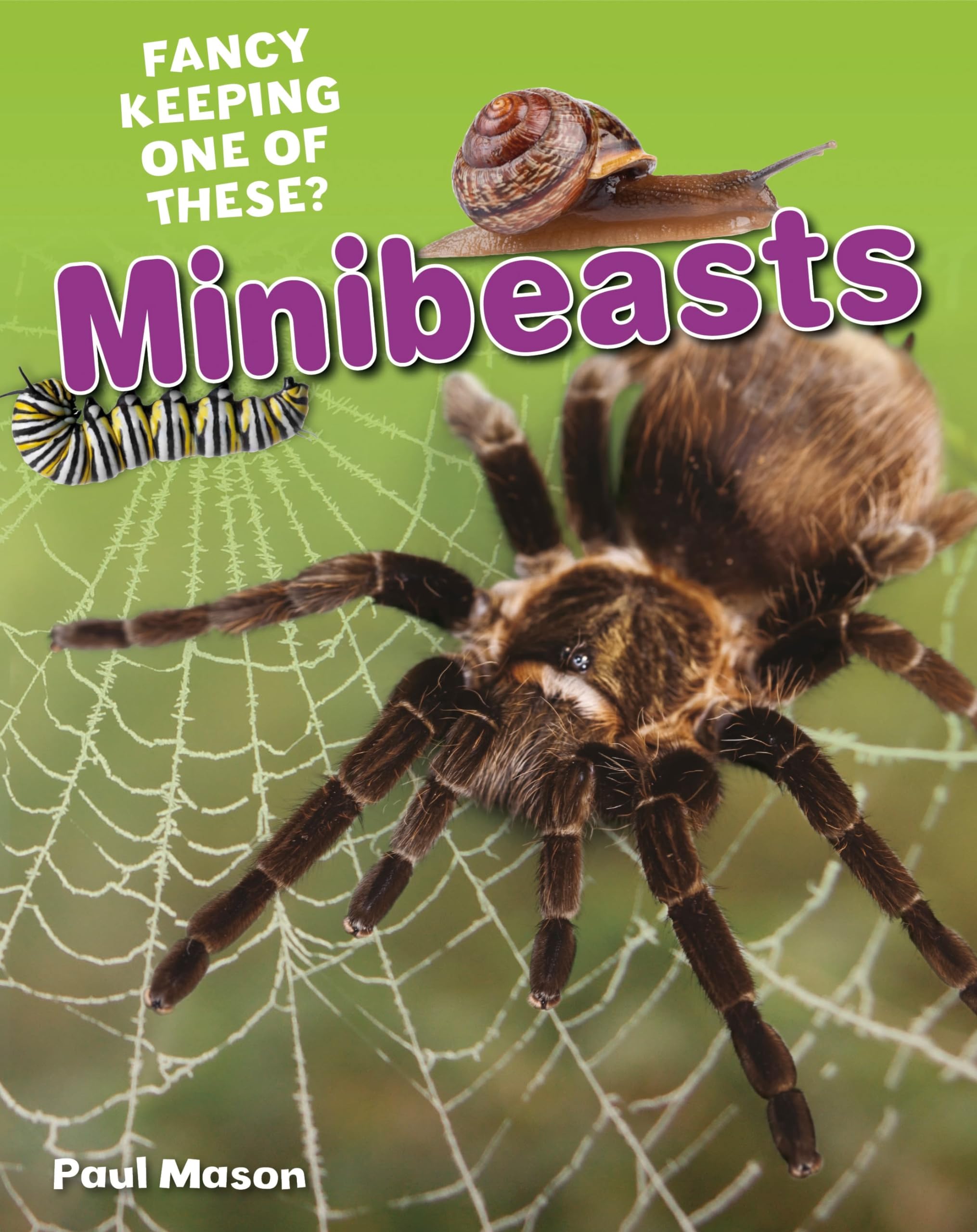 Minibeasts (White Wolves Nonfiction),Used
