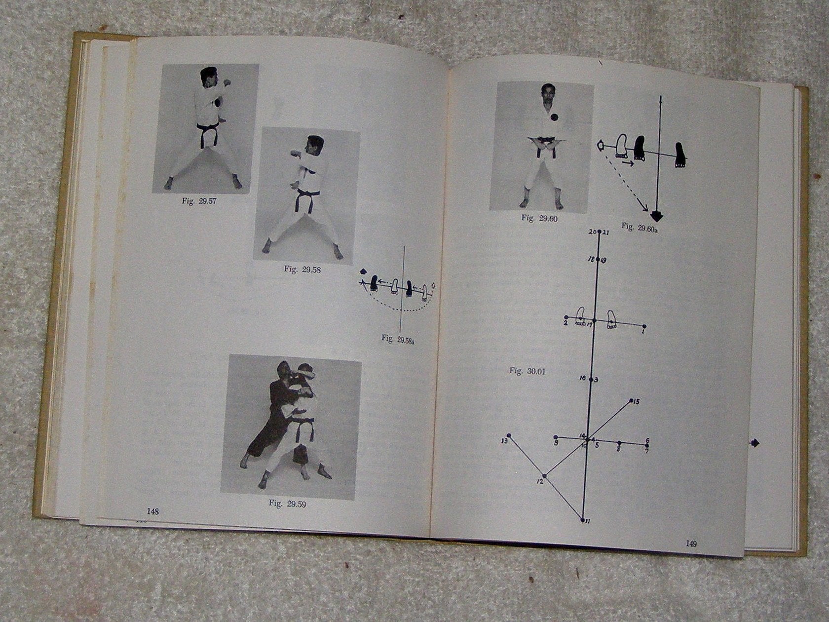 Korean Karate: The Art of Tae Kwon Do,Used