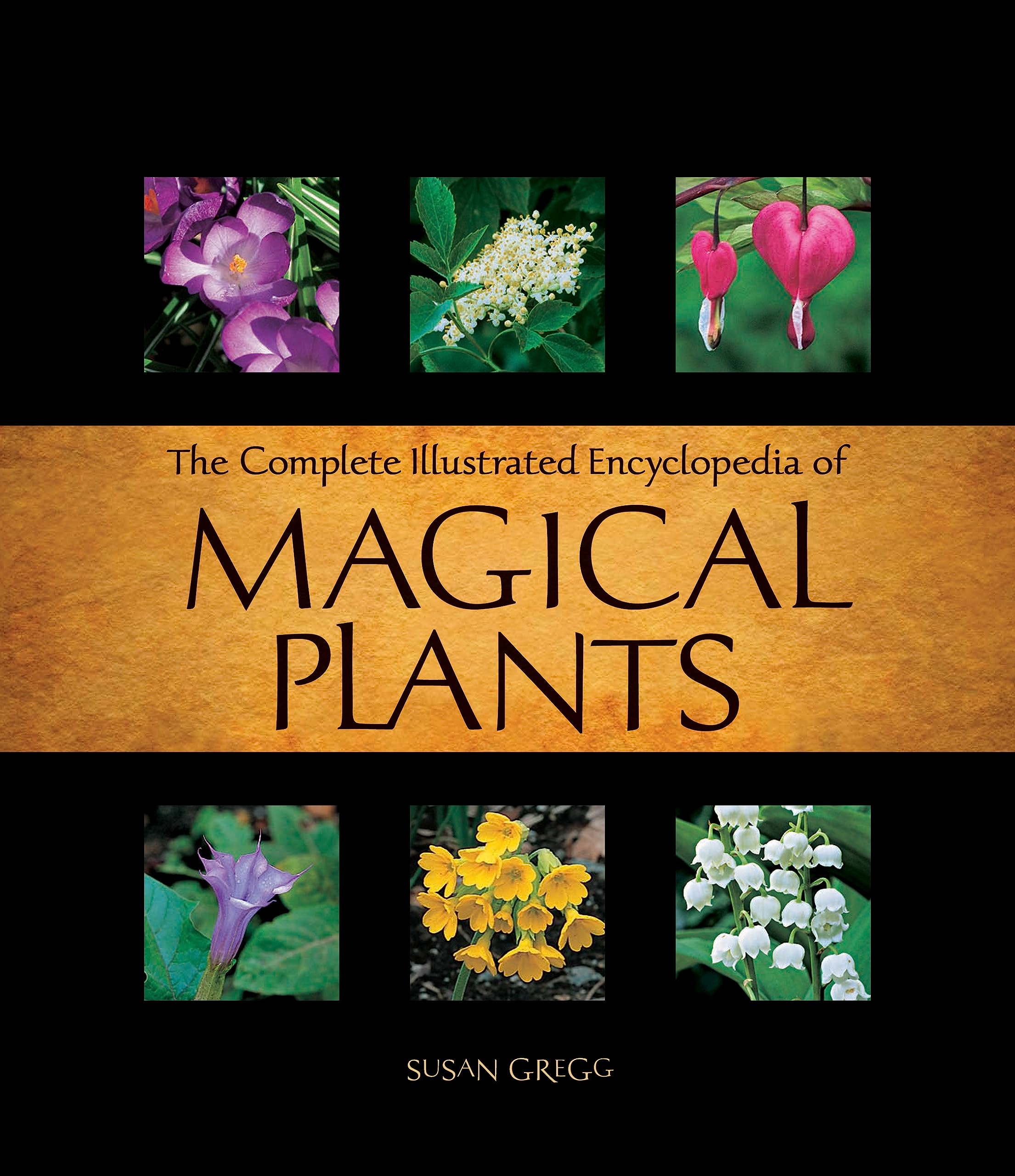 Complete Illustrated Encyclopedia of Magical Plants,Used