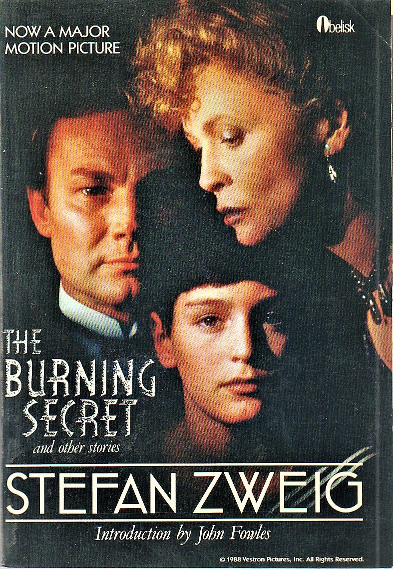Burning Secret and Other Stories,Used