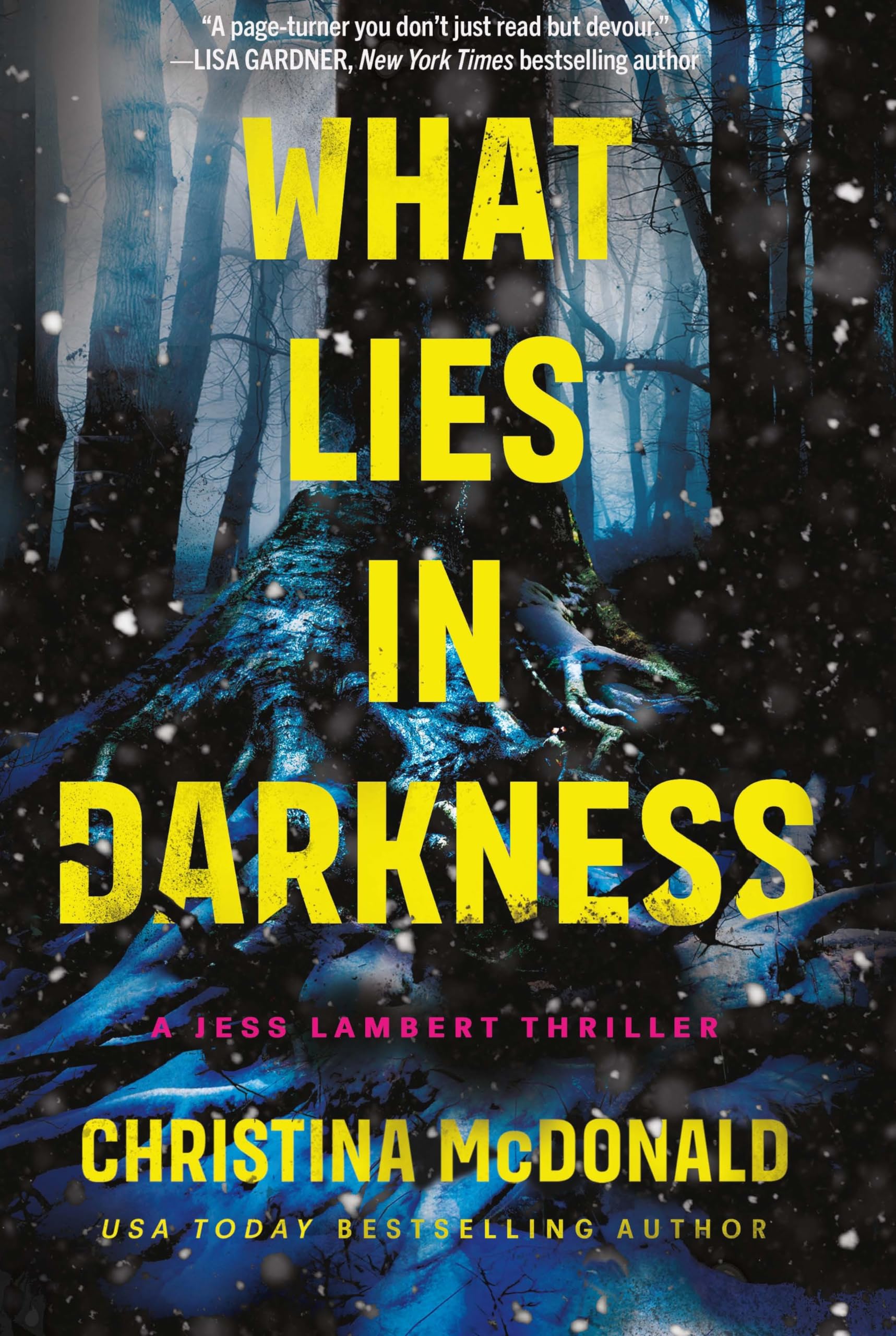 What Lies in Darkness (Jess Lambert),New