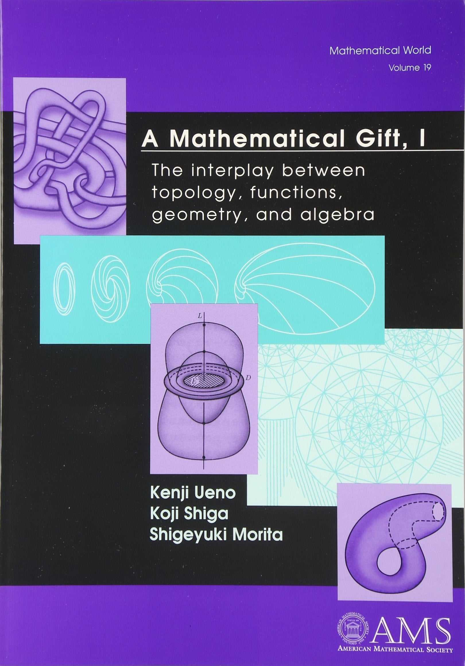 A Mathematical Gift, 1: The Interplay Between Topology, Functions, Geometry, and Algebra (Mathematical World) (v. 1),Used