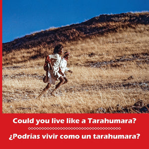 Could you live like a Tarahumara? Podras vivir como un tarahumara? Bilingual Spanish and English (Kids' Books from Here and Th,Used