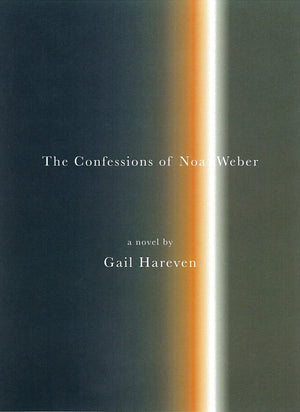 The Confessions of Noa Weber: A Novel,Used