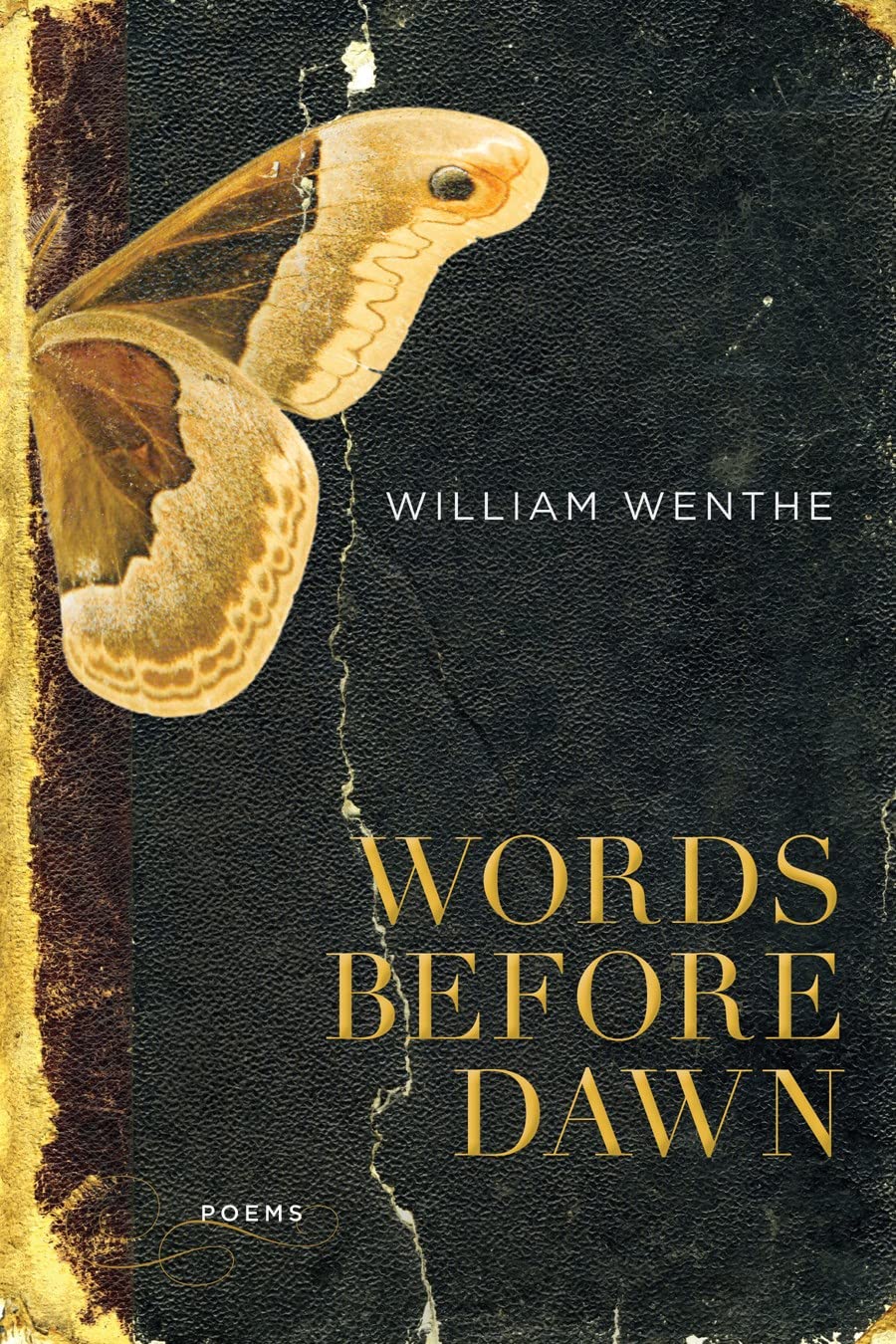 Words Before Dawn: Poems (LSU Press Paperback Original),Used