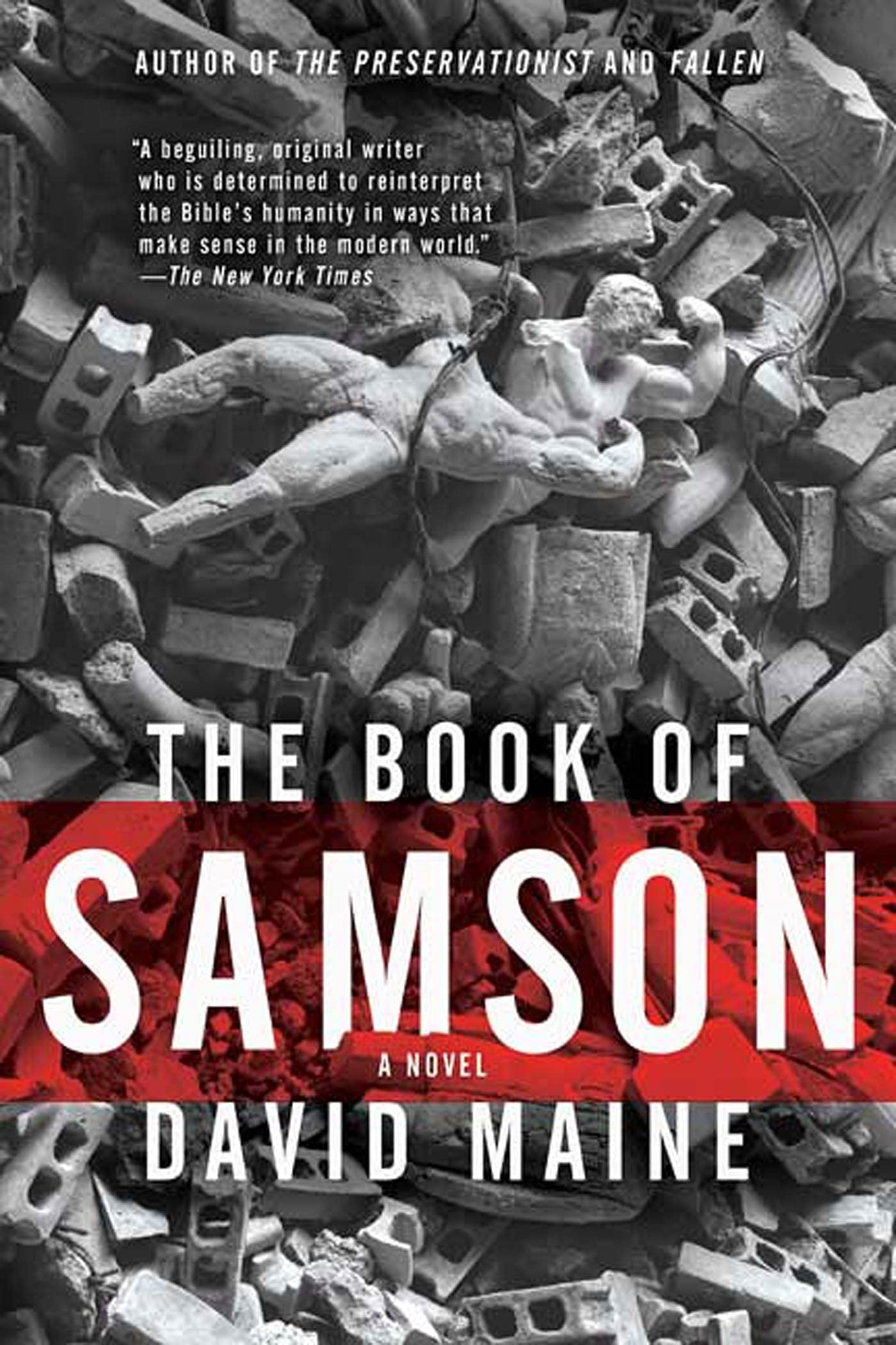 The Book Of Samson: A Novel,Used