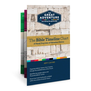 The Bible Timeline Chart,Used