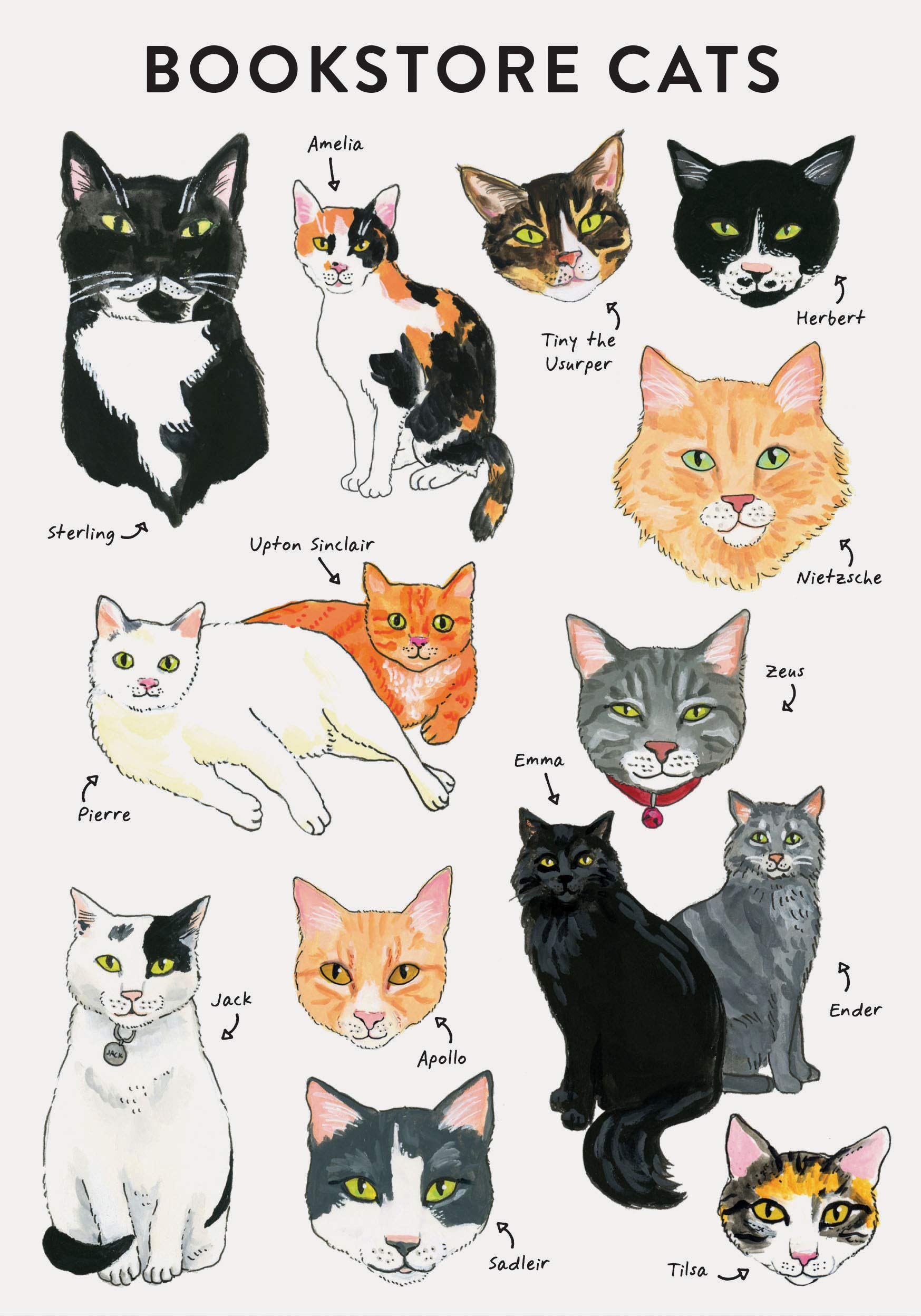 Bibliophile Flexi Journal: Bookstore Cats: (Cat Gifts For Cat Lovers, Cat Journal, Catthemed Gifts)