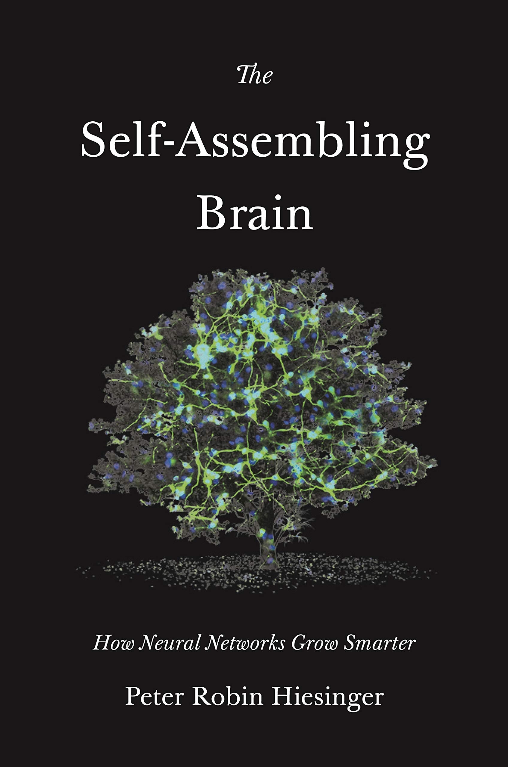 The SelfAssembling Brain: How Neural Networks Grow Smarter,Used