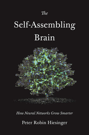 The SelfAssembling Brain: How Neural Networks Grow Smarter,Used