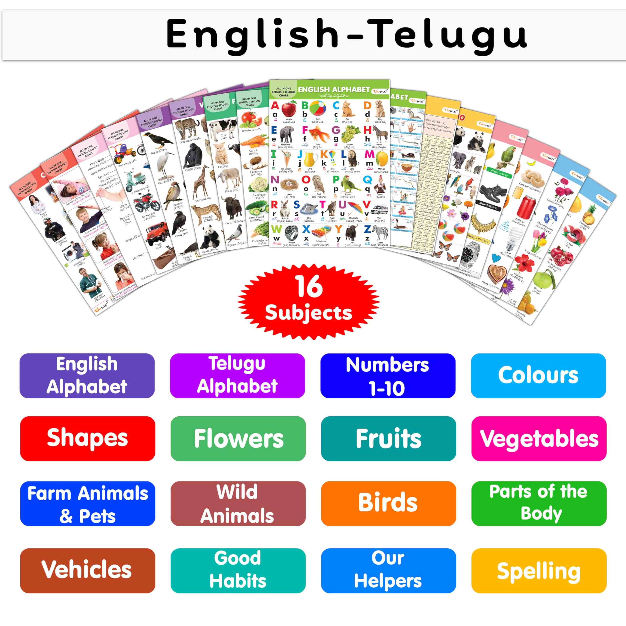 English-Telugu Chart For Kids (16 Charts ) 36 X 50 Cm - Children Spiral Wall Picture Chart