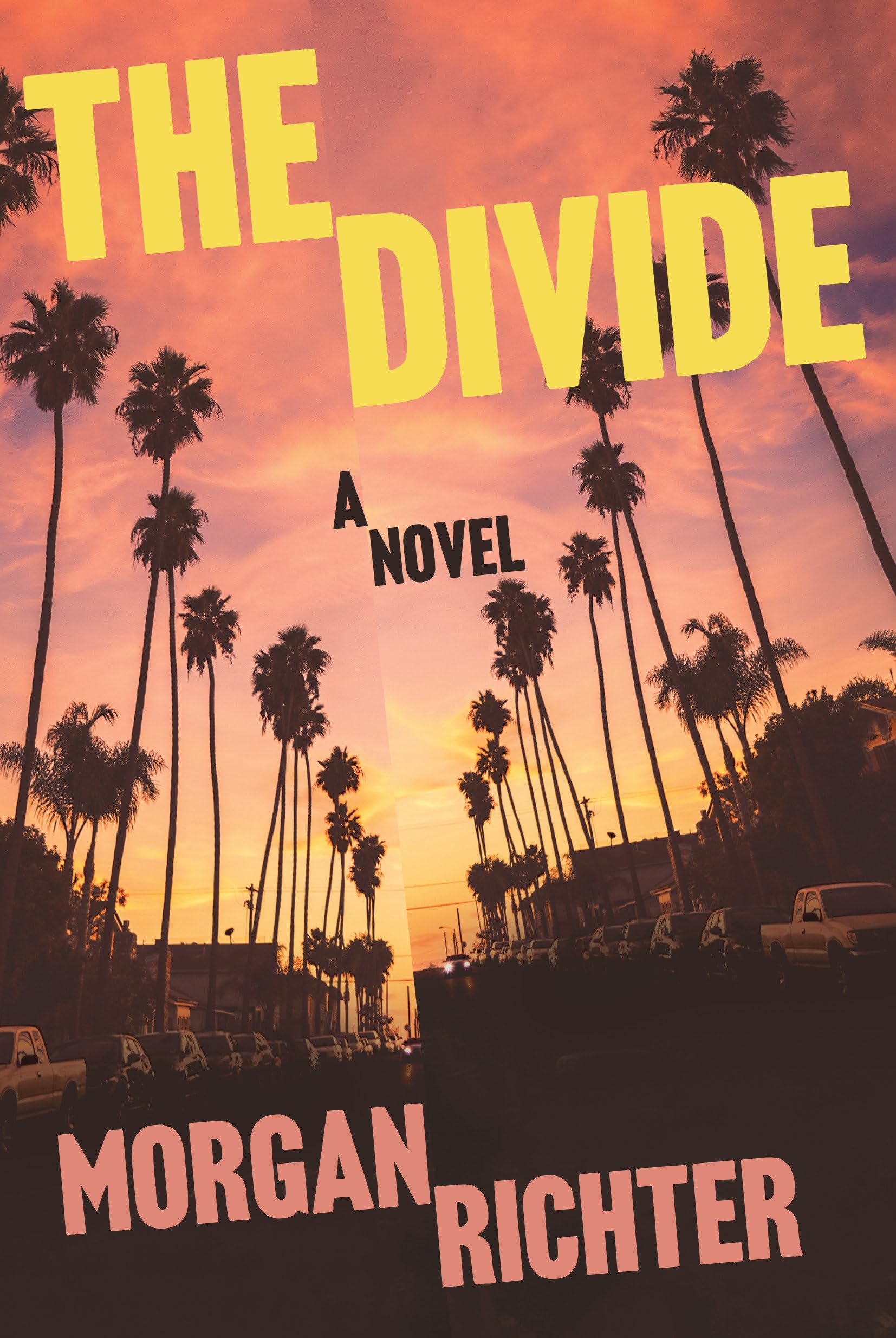 The Divide: A Novel,New