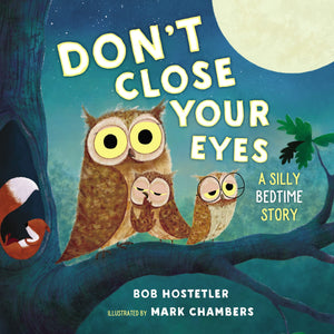 Don't Close Your Eyes: A Silly Bedtime Story,Used