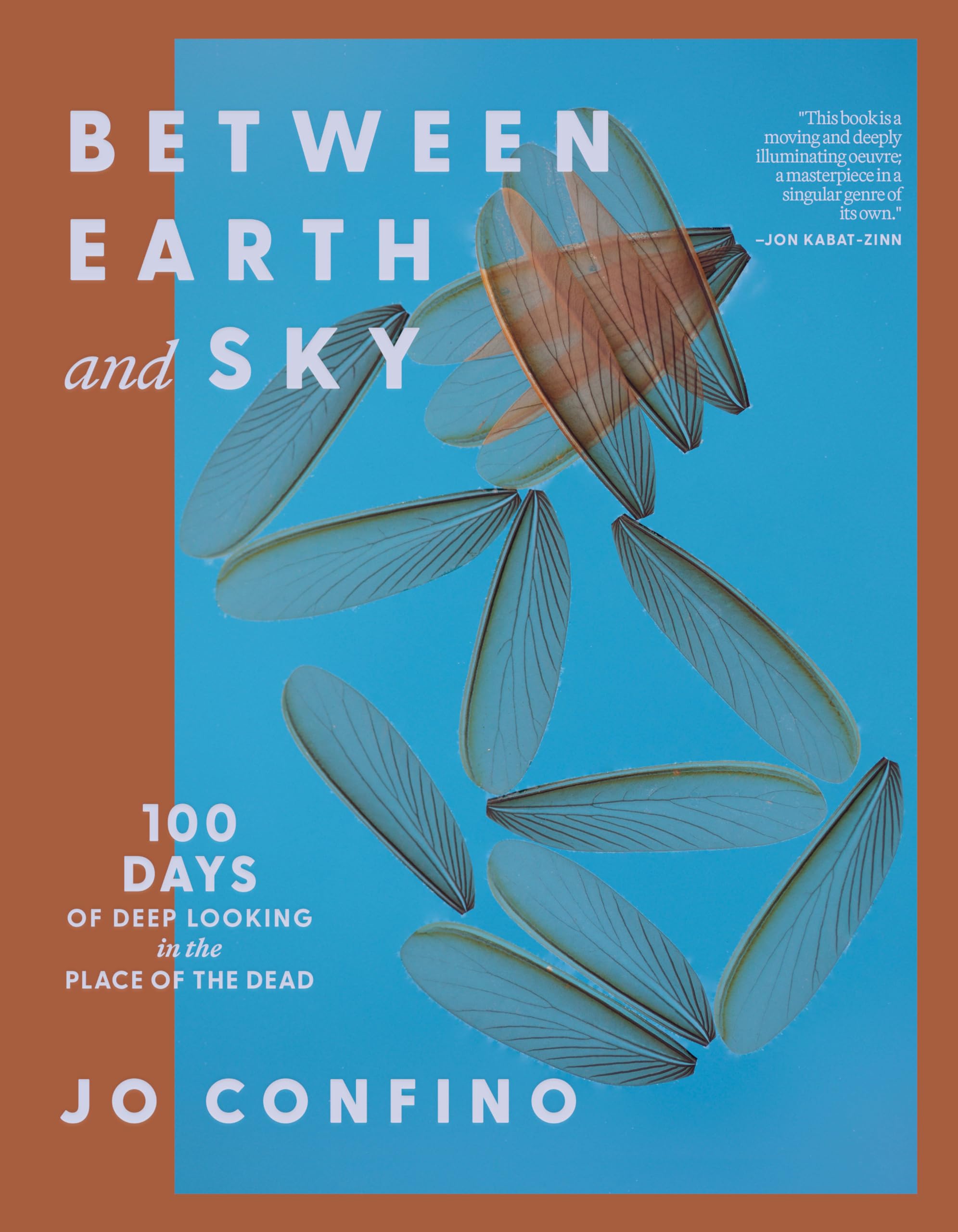 Between Earth And Sky: 100 Days Of Deep Looking In The Place Of The Dead