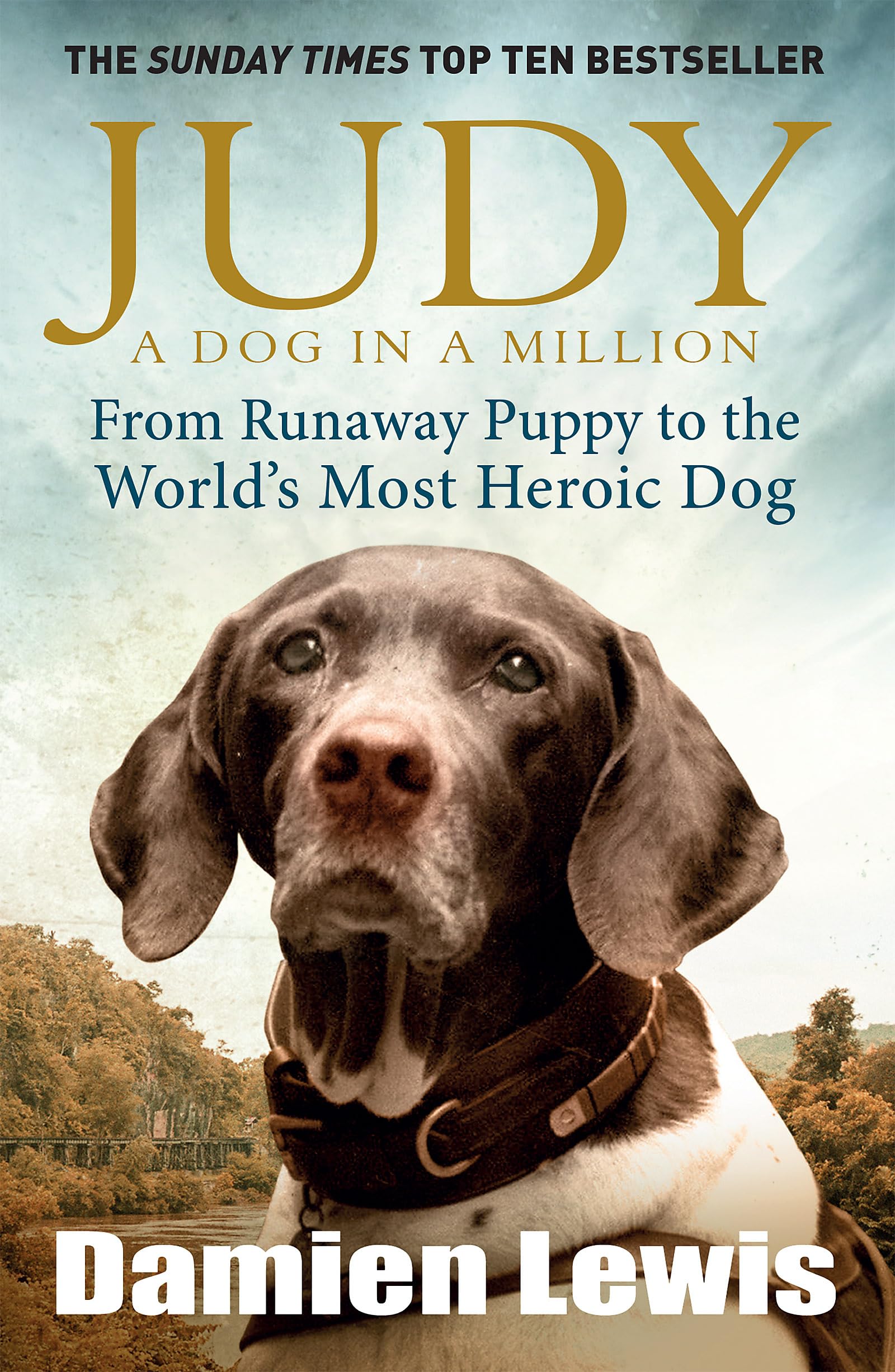 Judy: The Unforgettable Story of the Dog Who Went to War and Became a True Hero,Used