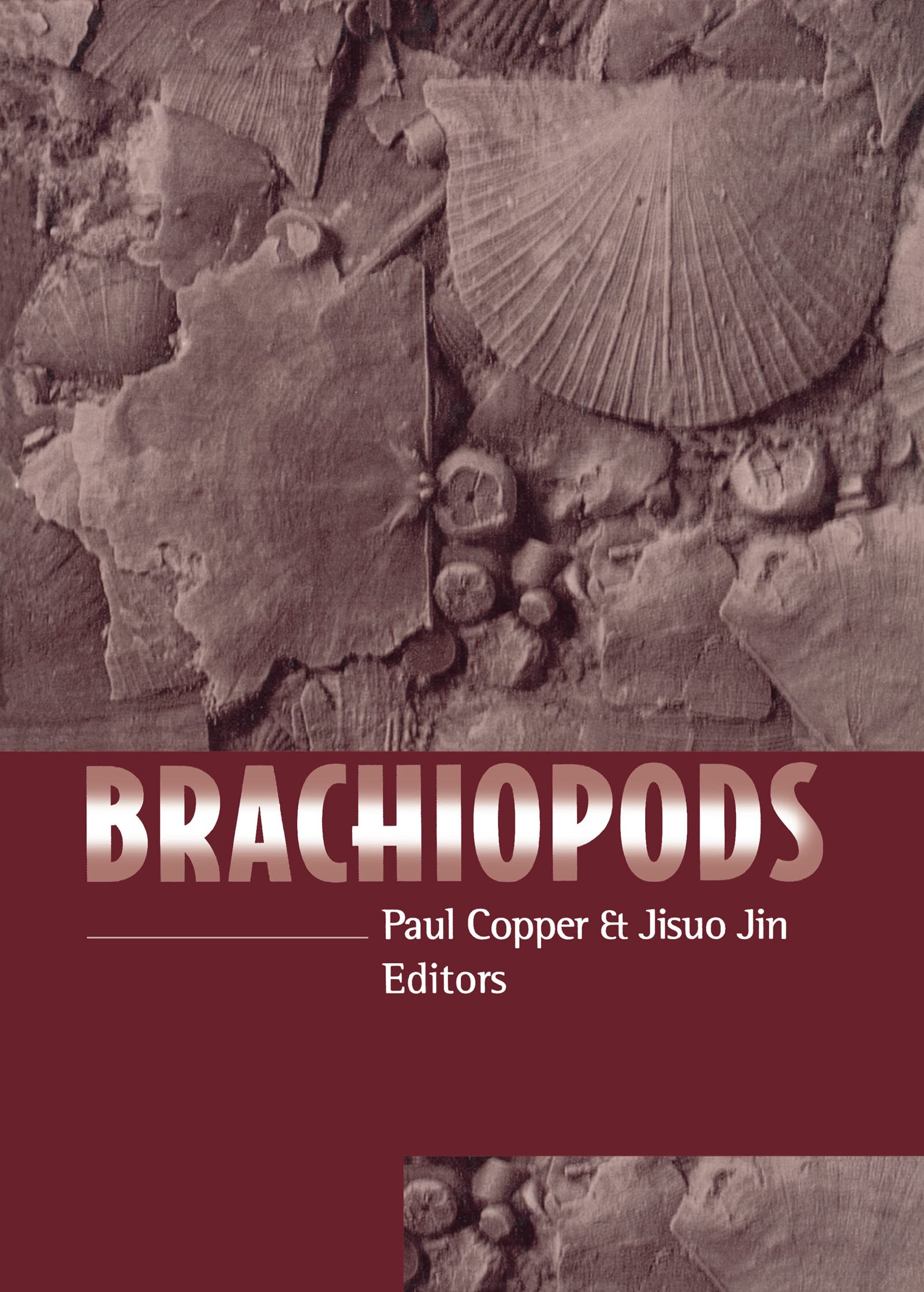 Brachiopods,Used