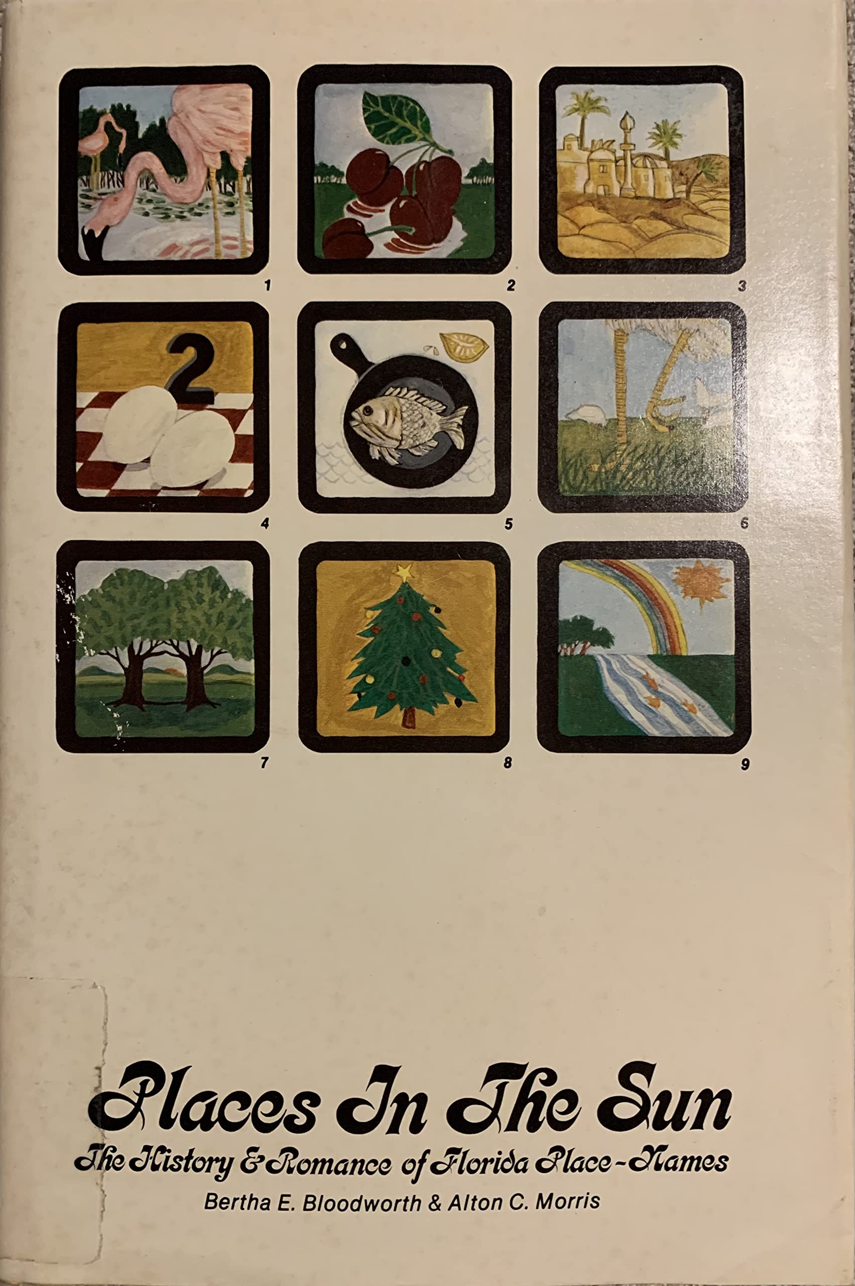 Places in the Sun: The History and Romance of Florida PlaceNames.,Used