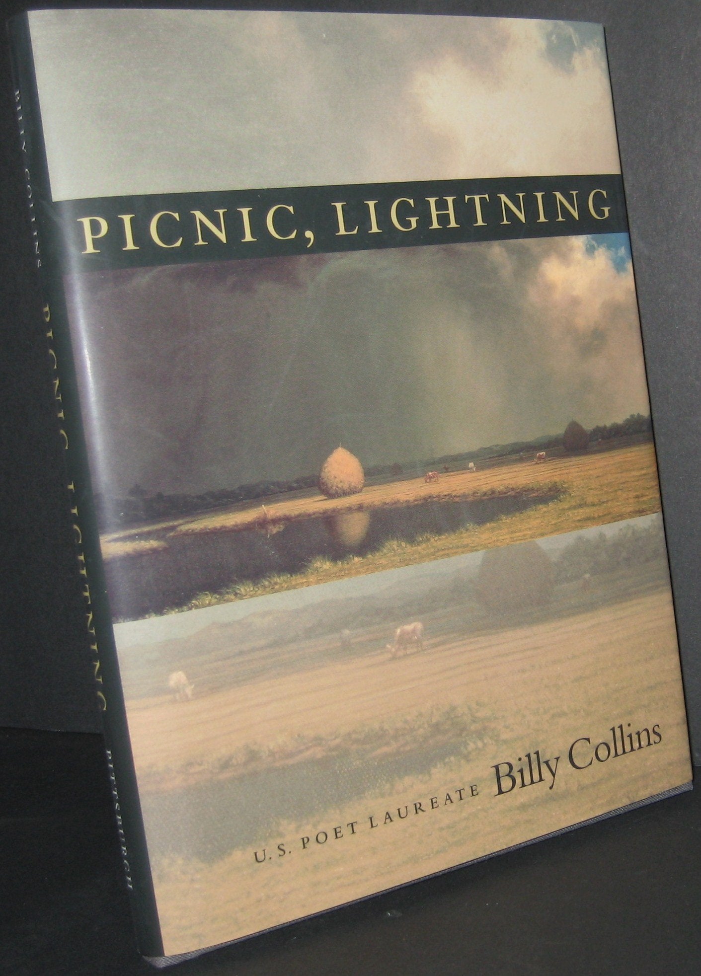 Picnic, Lightning