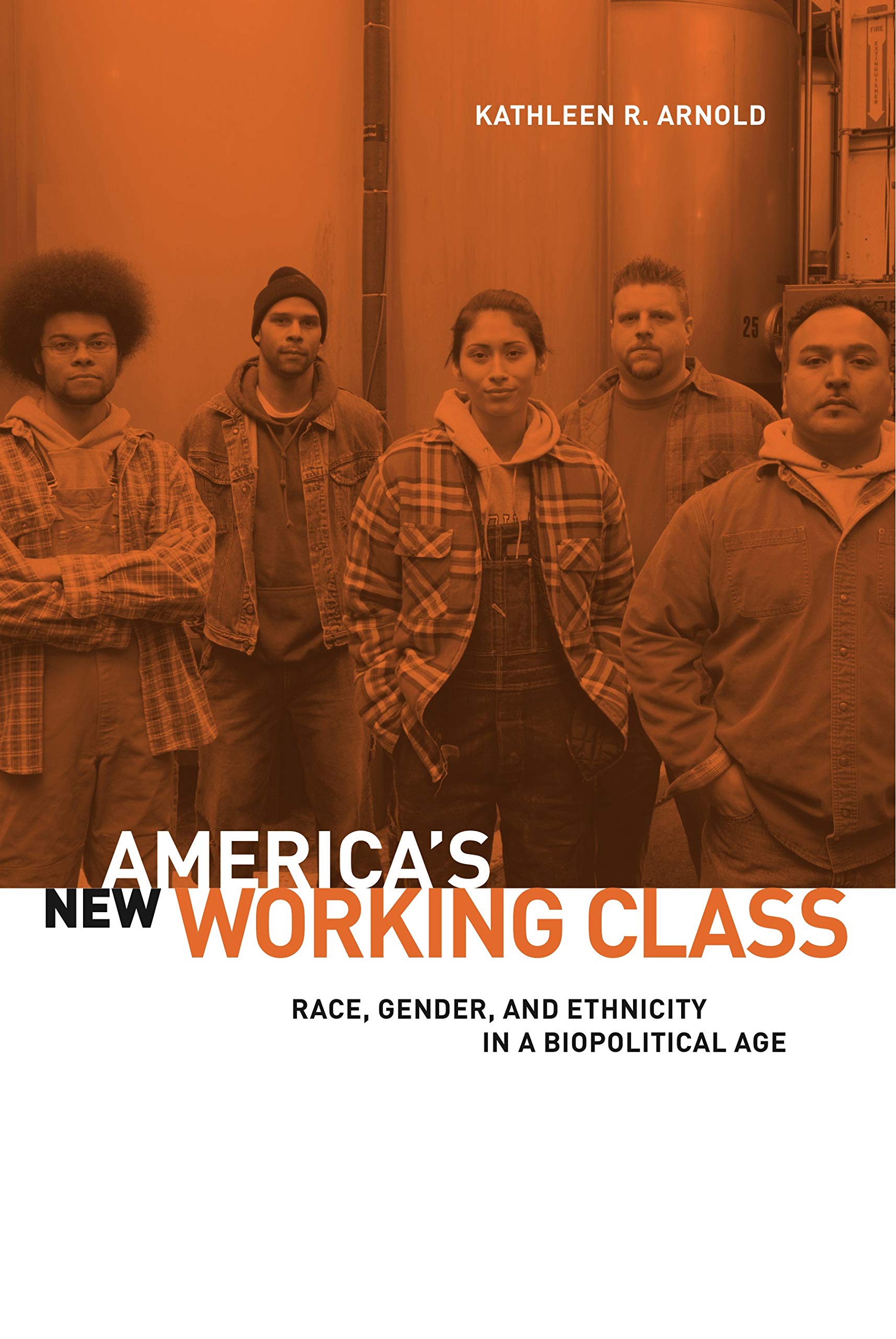 America'S New Working Class: Race, Gender, And Ethnicity In A Biopolitical Age,New