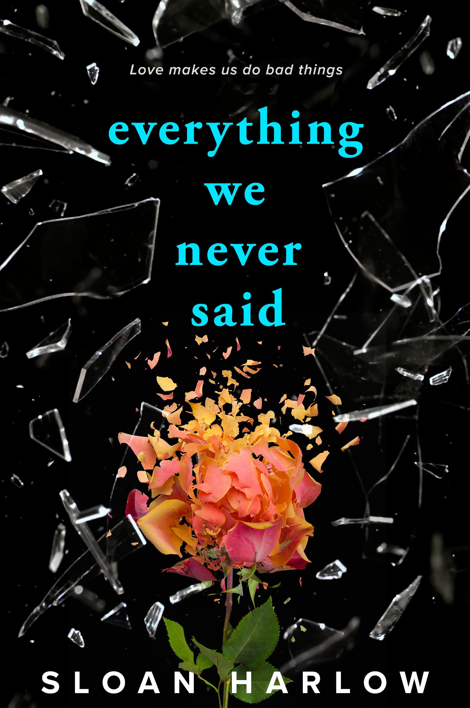 Everything We Never Said,Used