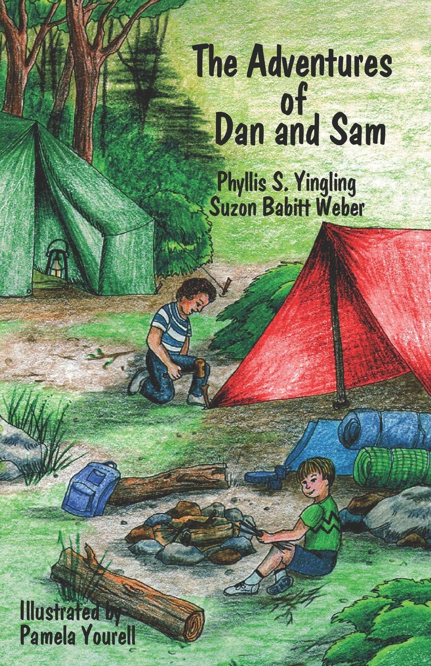 The Adventures of Dan and Sam (Steps to Success Series),Used
