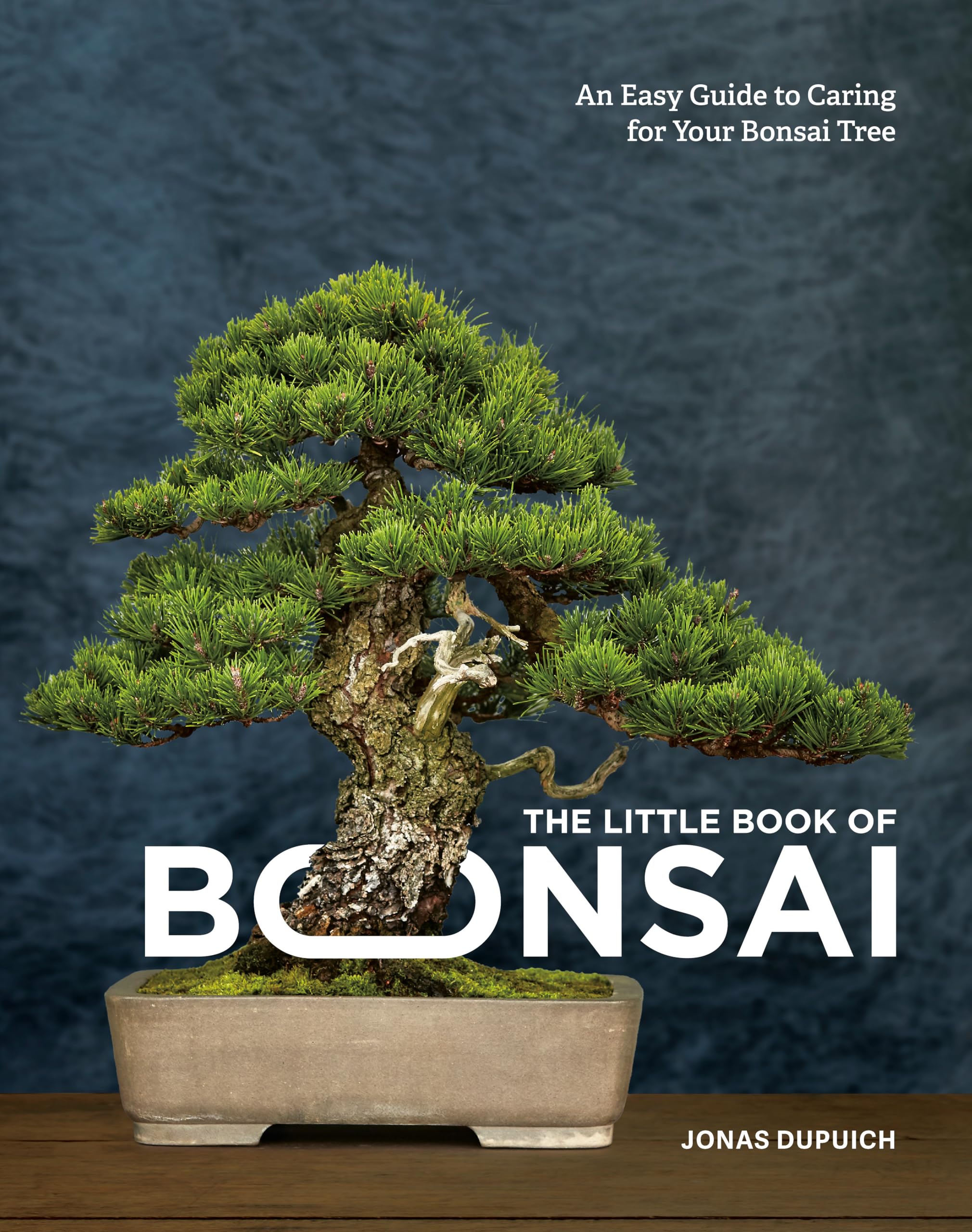 The Little Book of Bonsai: An Easy Guide to Caring for Your Bonsai Tree,New