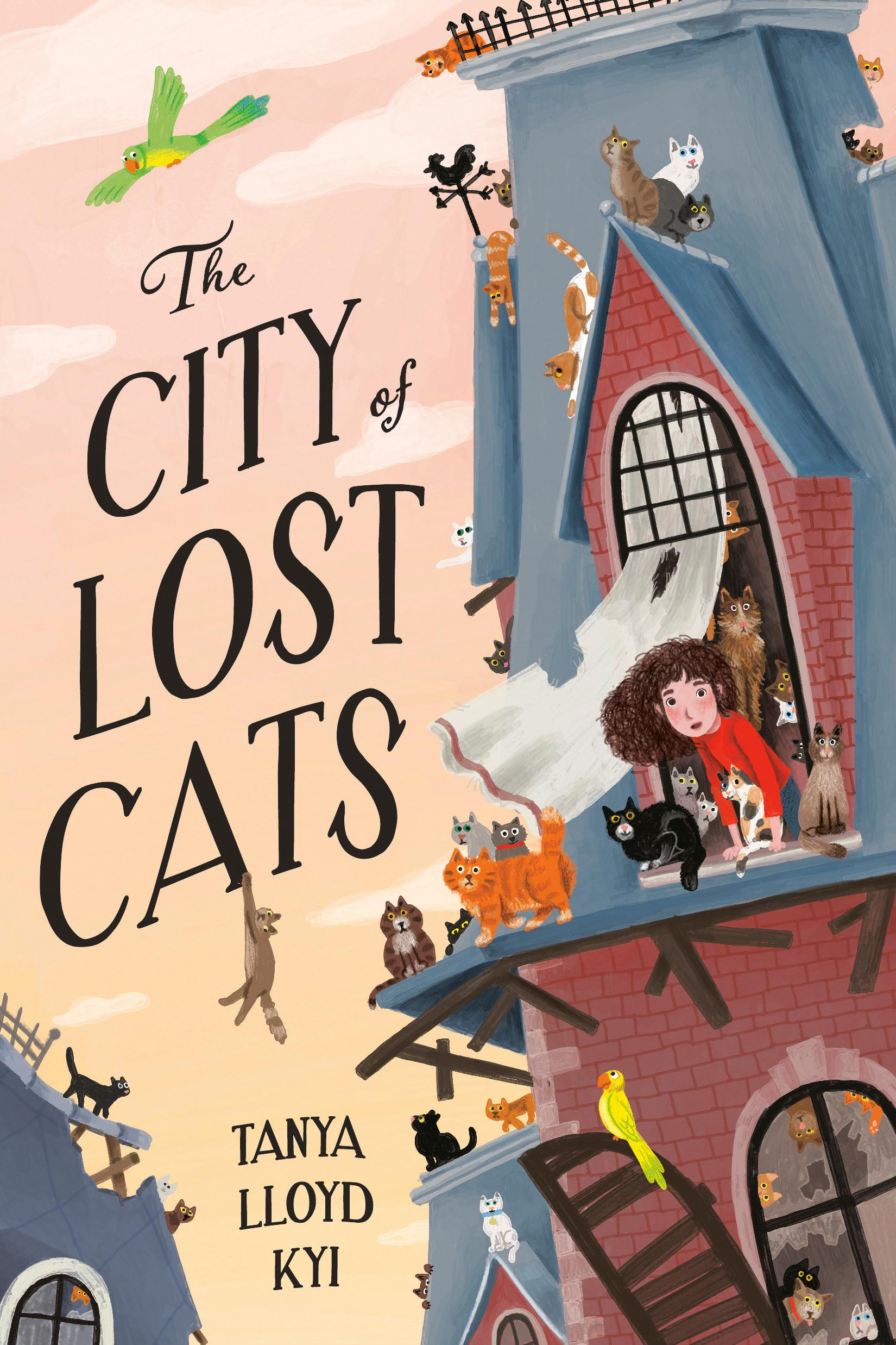The City Of Lost Cats