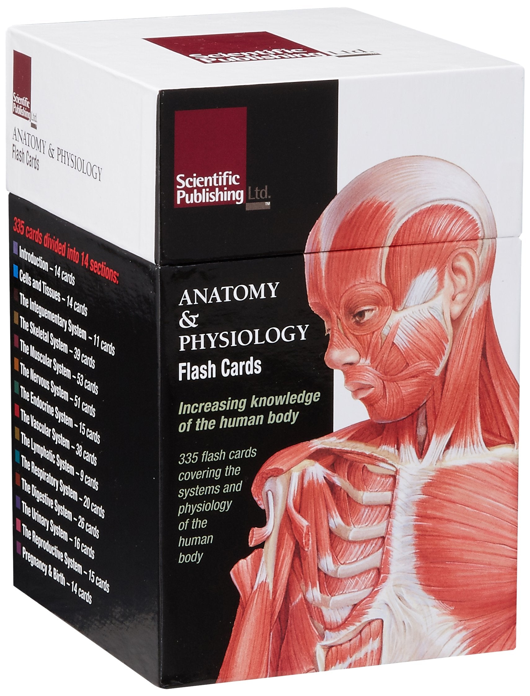 Anatomy & Physiology Flash Cards,Used