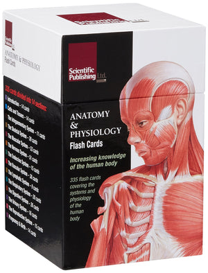 Anatomy & Physiology Flash Cards,Used