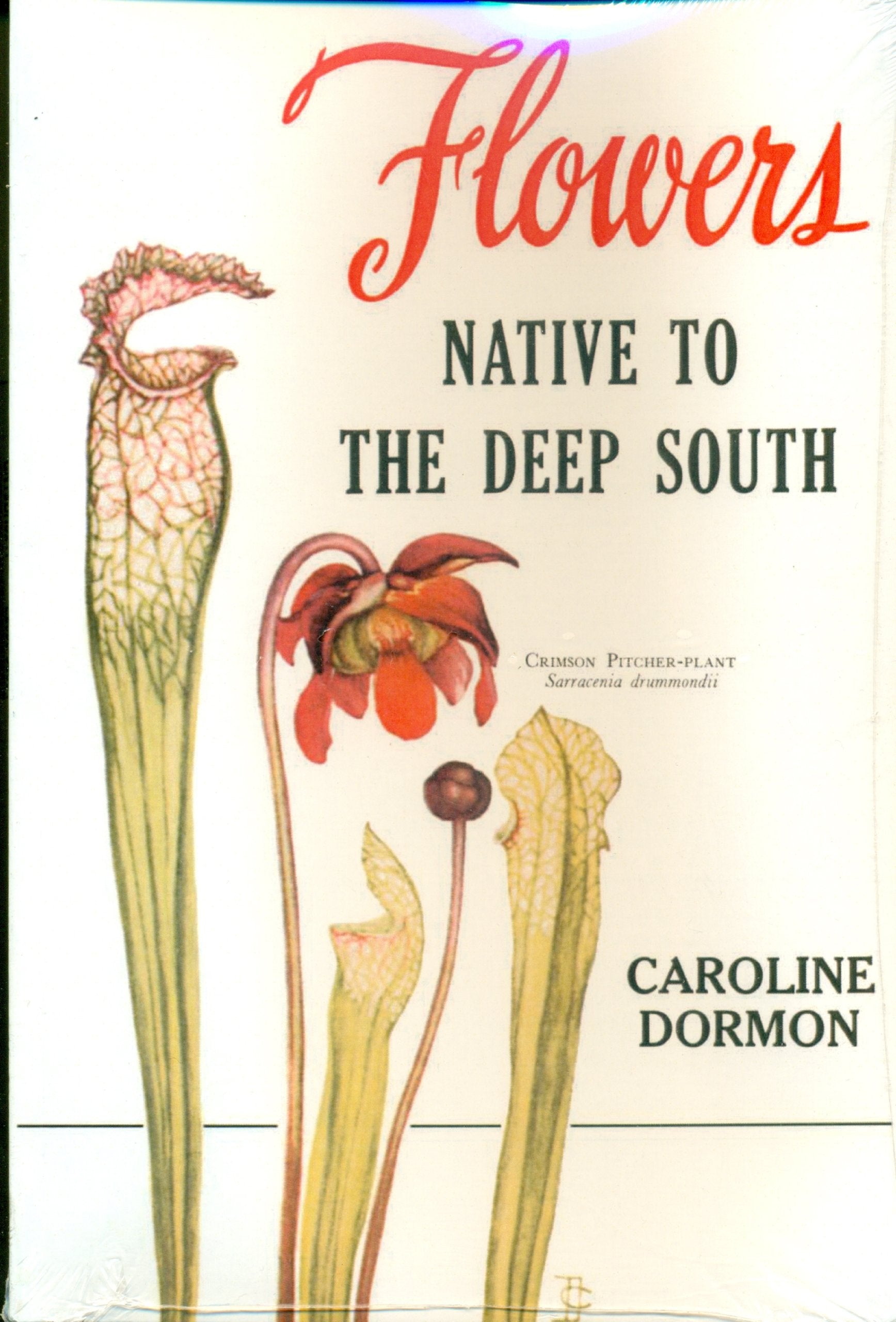 Flowers Native To The Deep South-new,New