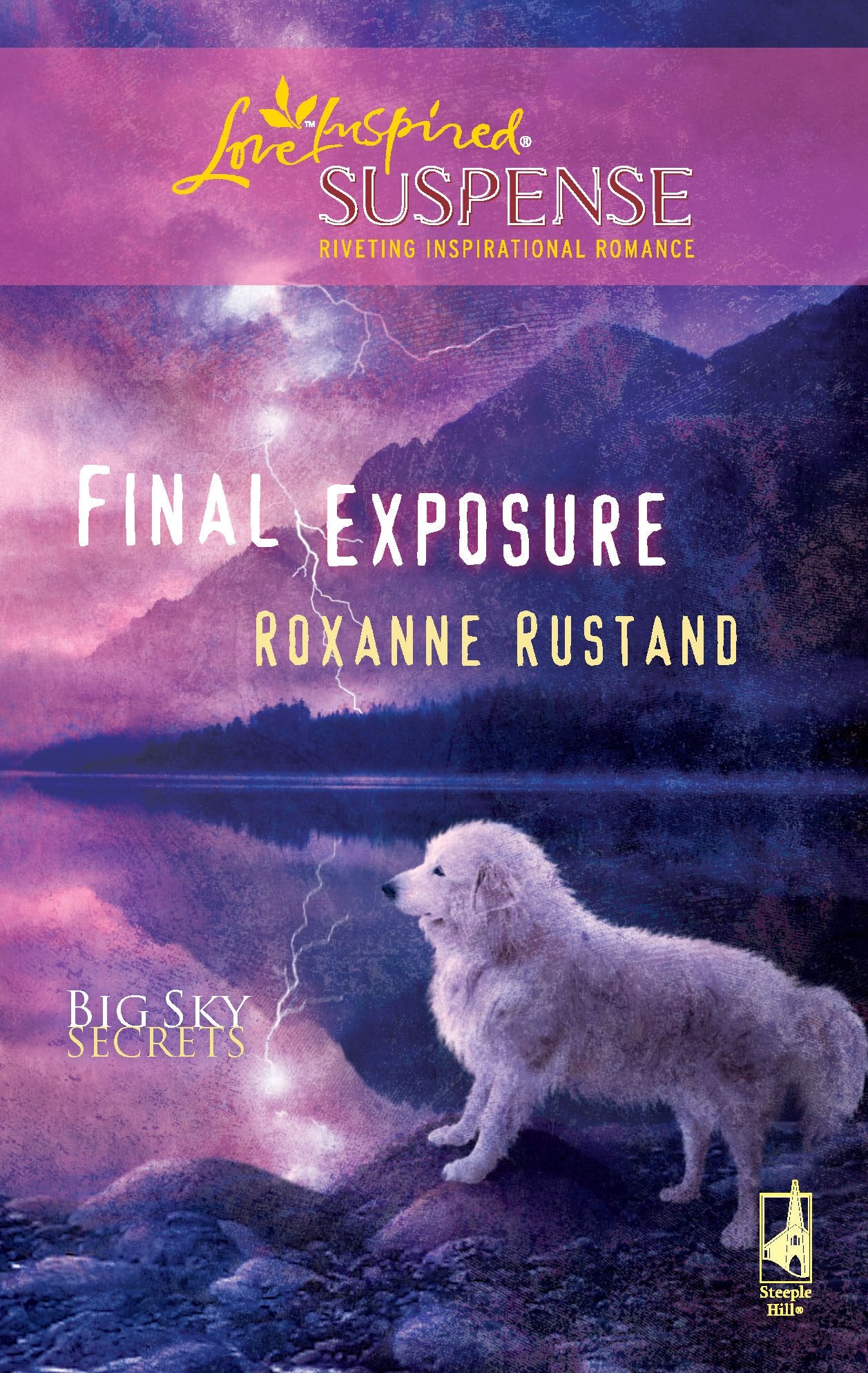 Final Exposure (Big Sky Secrets),Used