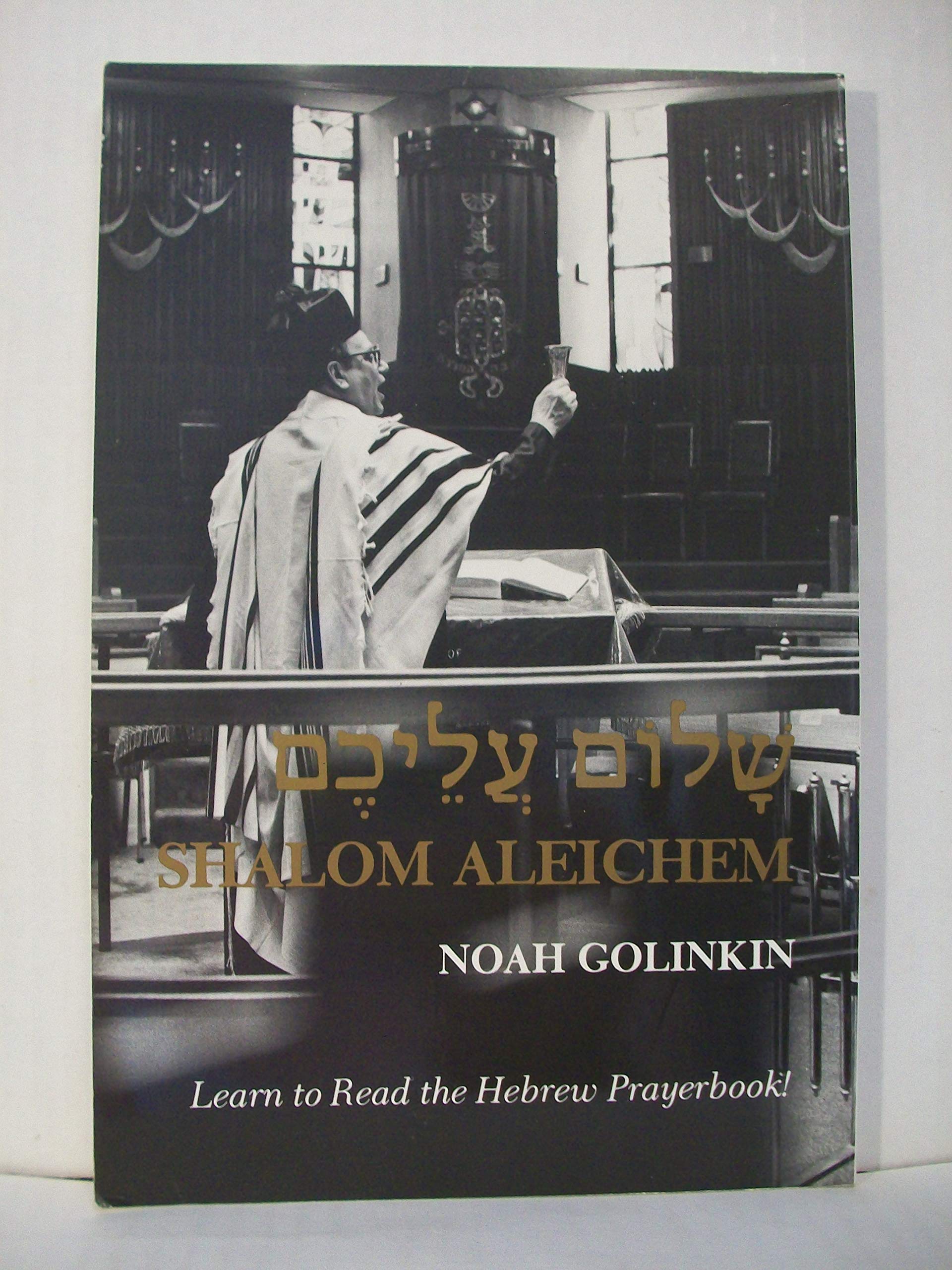 Shalom Aleichem: Learn To Read The Hebrew Prayerbook (English And Hebrew Edition),Used