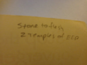 Might & Magic VIII: Day of the Destroyer: Prima's Official Strategy Guide,Used