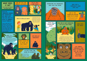 Life on Earth: Jungle: With 100 Questions and 70 Liftflaps!,Used