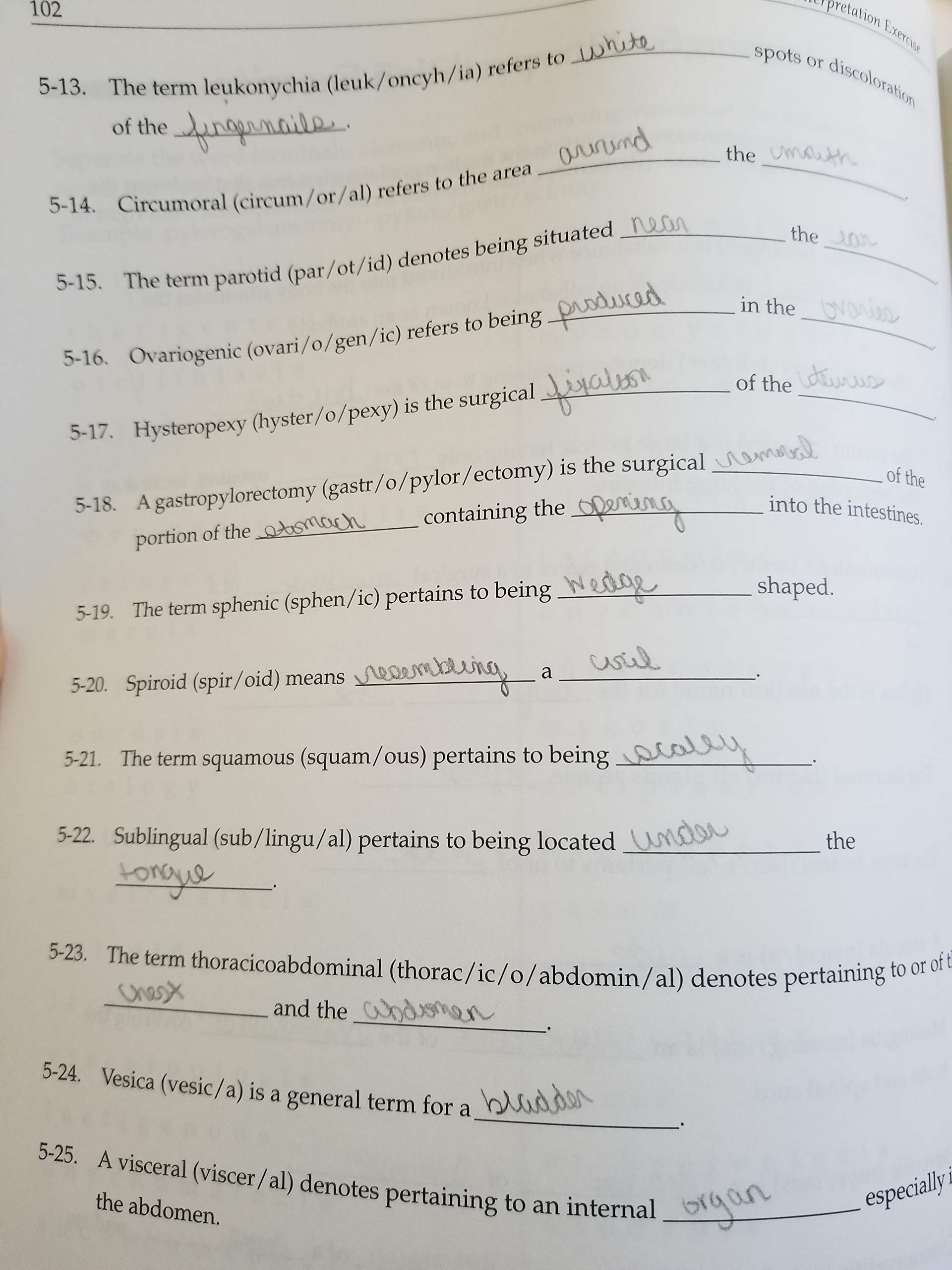 DCM Instructional Systems Medical Terminology 350 Learning Guide - Comprehensive Study Resource for Students