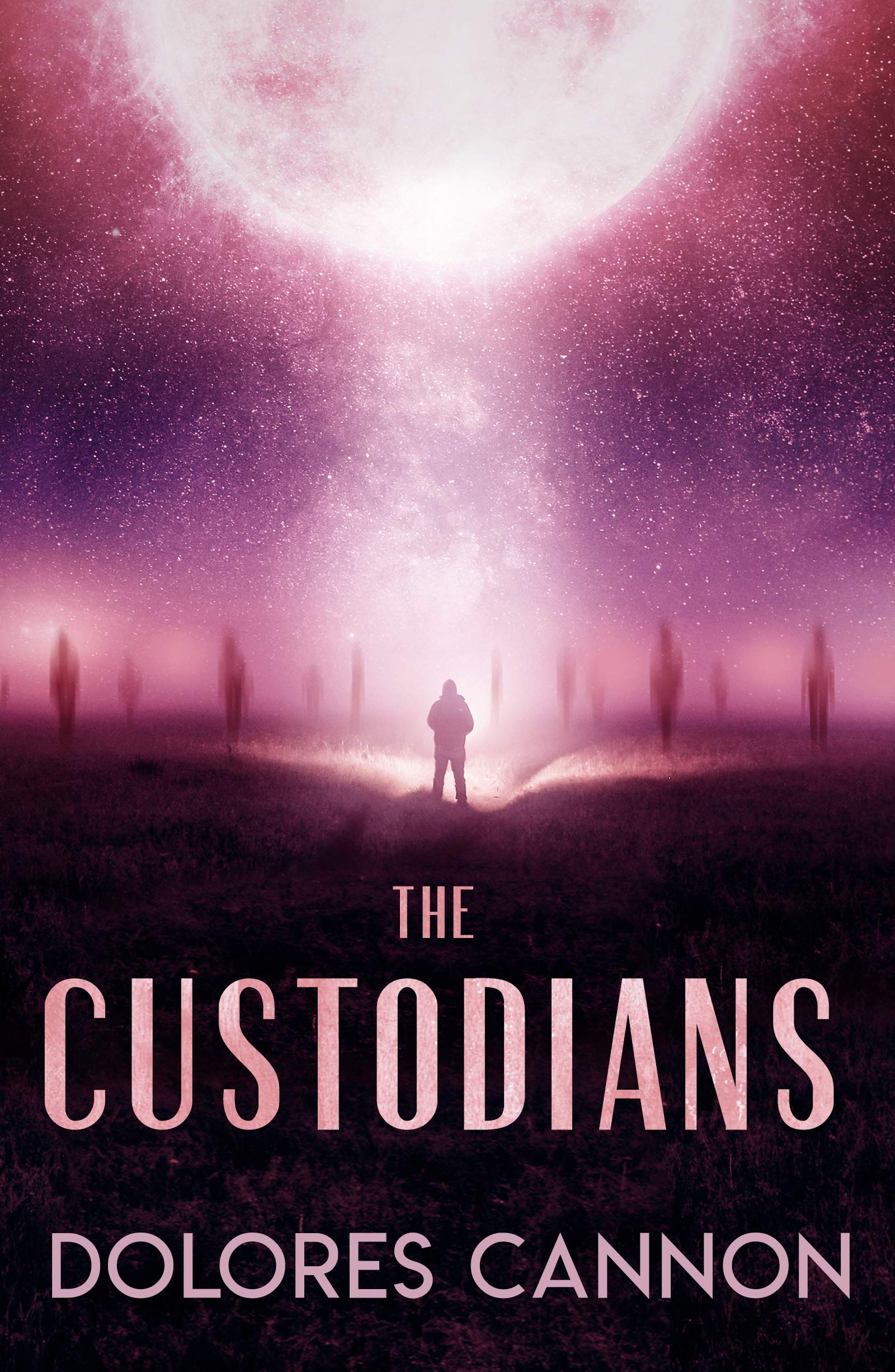 Custodians: Beyond Abduction,New