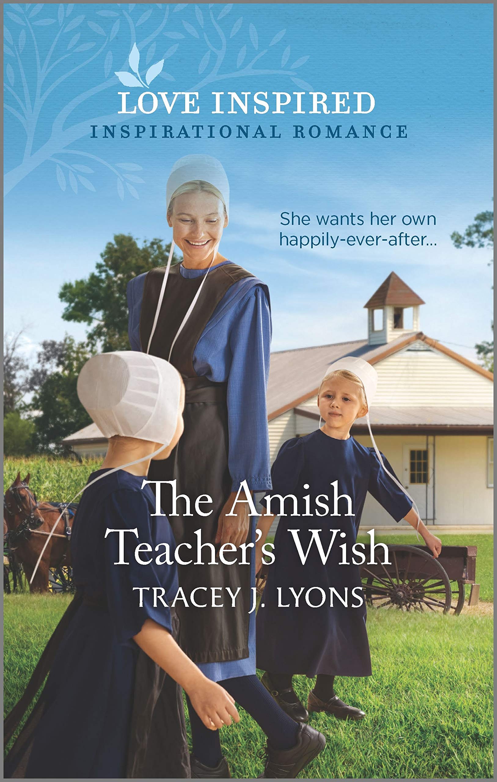 The Amish Teacher's Wish (Love Inspired),Used